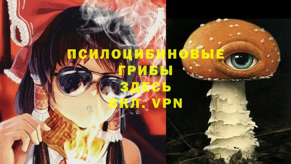 молекула духа Алексин