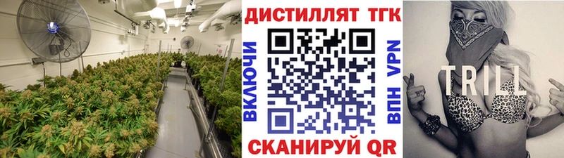 Купить где  Мантурово  Дистиллят ТГК концентрат 