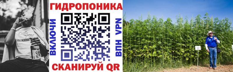 Шишки марихуана планчик  Купить  Мантурово 